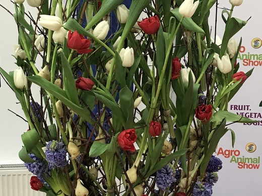 Квіткова композиція з тюльпанами