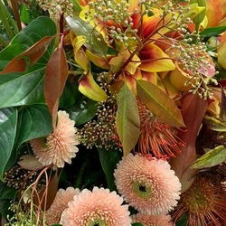 Blumenarrangement mit Gerbera-Pomponi